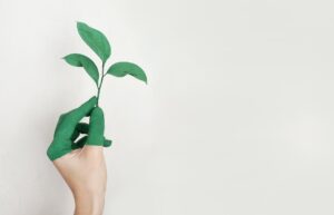 Becoming More Eco-Friendly In The Office, International Mother Earth Day